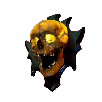 Skull Nightlight - LED Night Lamp | Cool Skeleton Design for Atmosphere