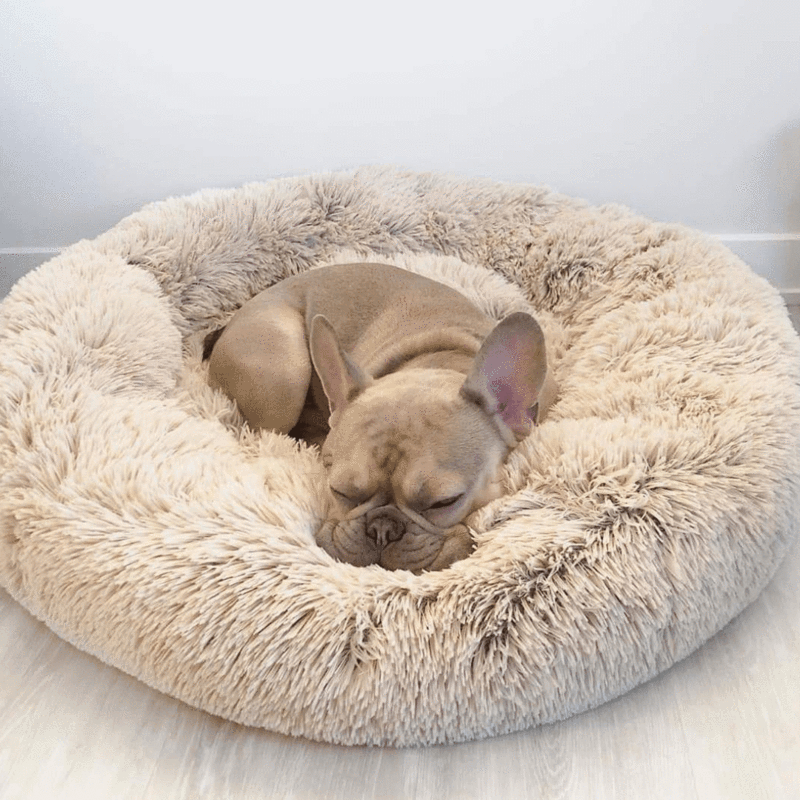 Cojín suave para perros "Wolke 7" - El original para un sueño relajante