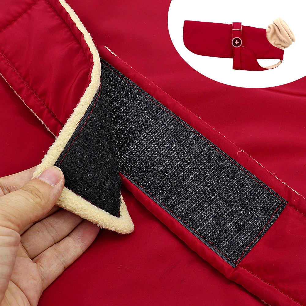 Waterdichte Hondenjas voor Middelgrote Honden - Warm en Comfortabel Hondenjasje voor de Winter 1