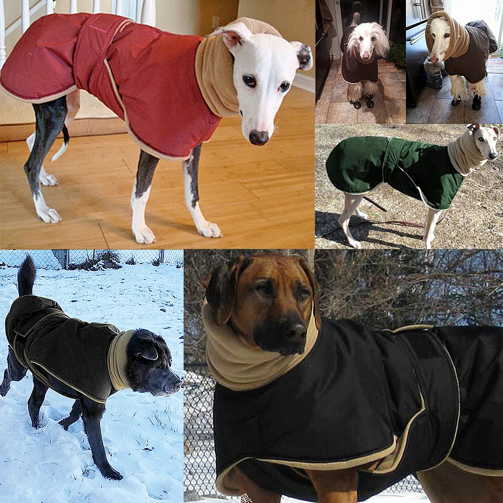 Waterdichte Hondenjas voor Middelgrote Honden - Warm en Comfortabel Hondenjasje voor de Winter 3