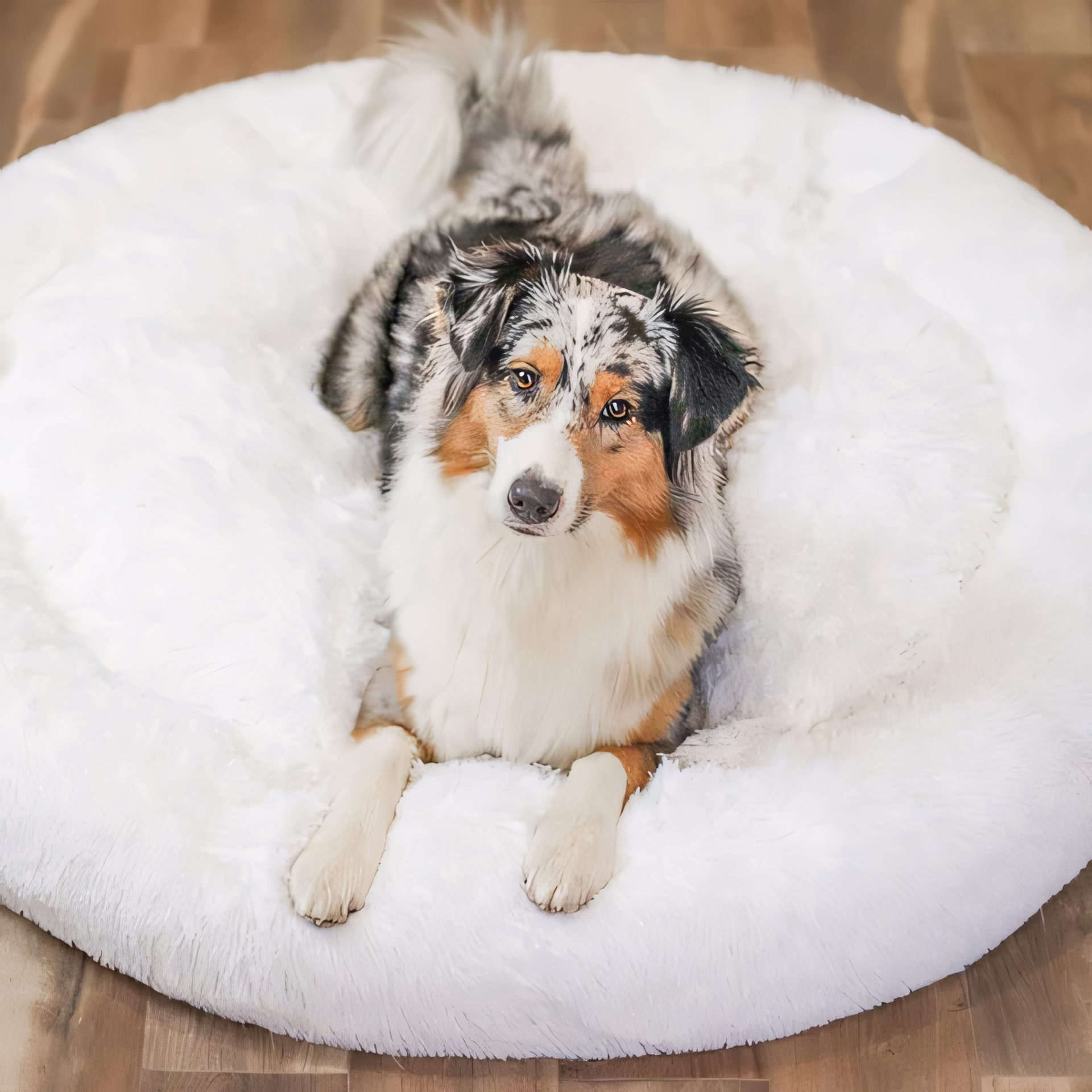 ComfyCove | Comfortabel Hondenbed voor Ultiem Comfort en Geborgenheid