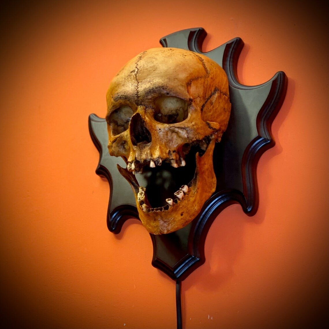 Skull Nightlight - LED Night Lamp | Cool Skeleton Design for Atmosphere