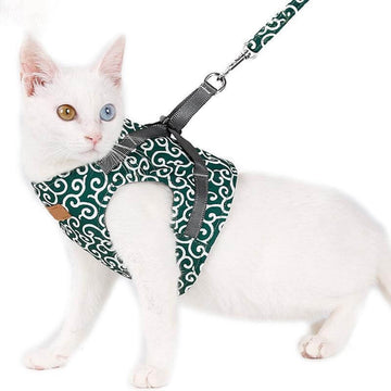 Pawver – Cat Harness Set Breathable Mesh & Adjustable – For Outdoors