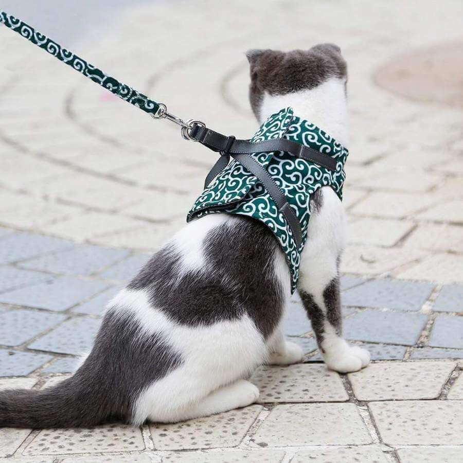 Pawver – Cat Harness Set Breathable Mesh & Adjustable – For Outdoors