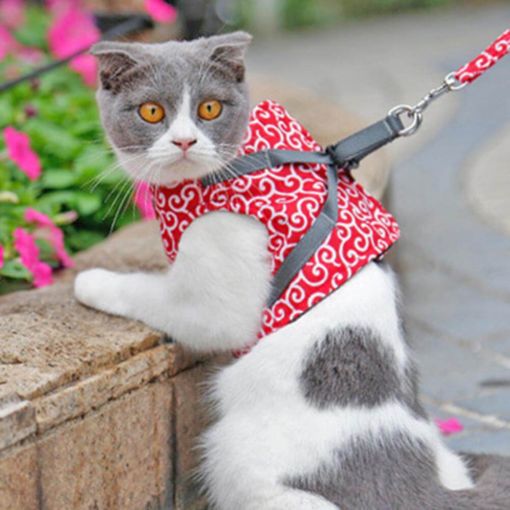 Pawver – Cat Harness Set Breathable Mesh & Adjustable – For Outdoors