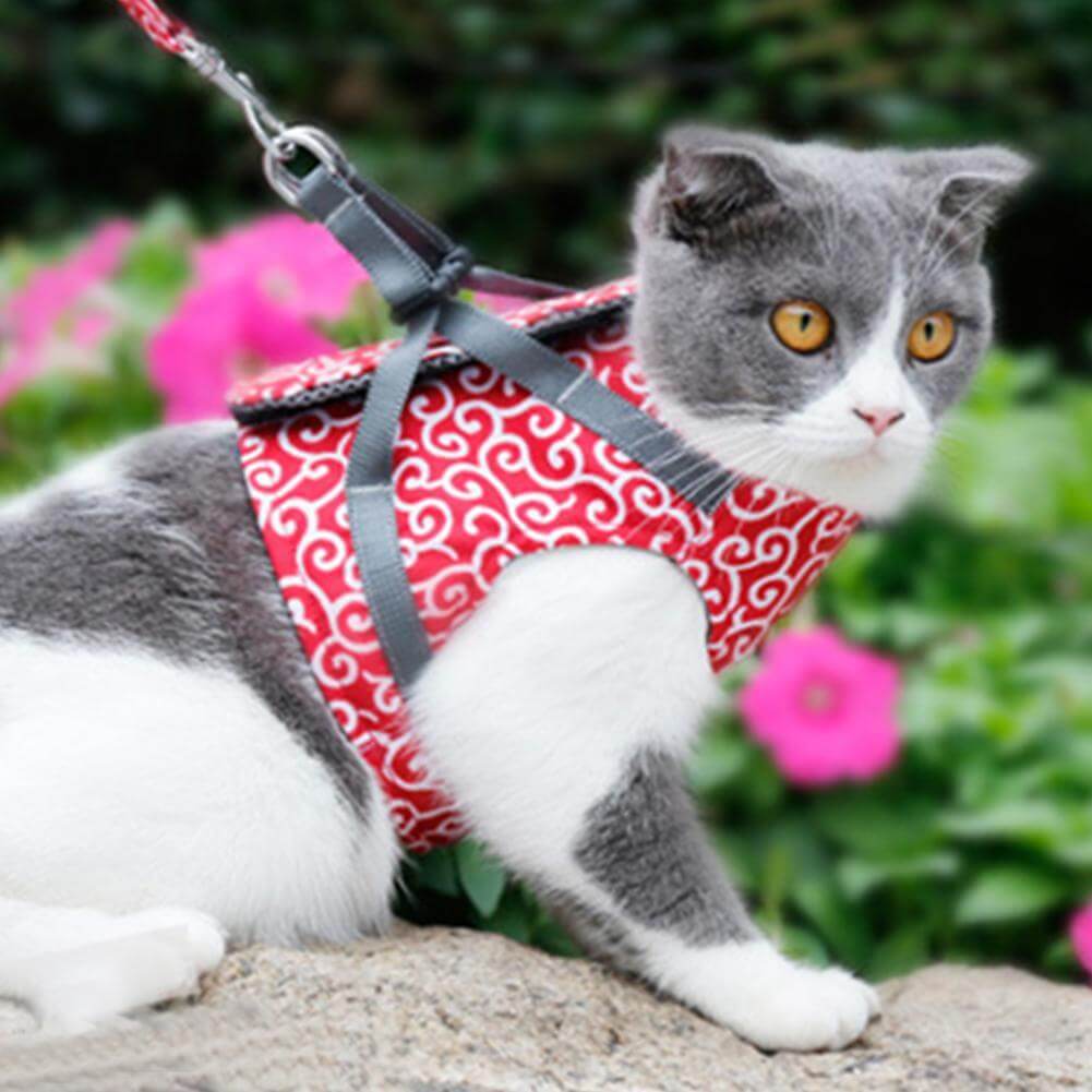 Pawver – Cat Harness Set Breathable Mesh & Adjustable – For Outdoors