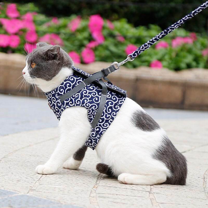 Pawver – Cat Harness Set Breathable Mesh & Adjustable – For Outdoors
