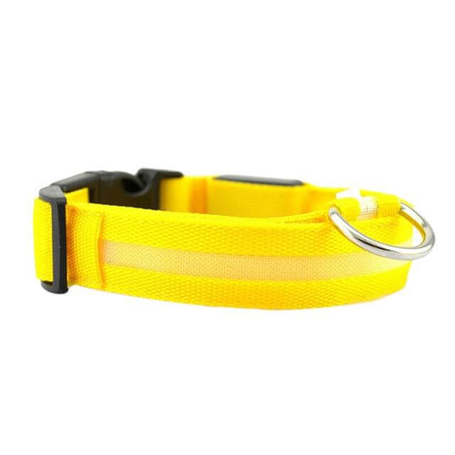 Melzano GlowPets | LED Halsband