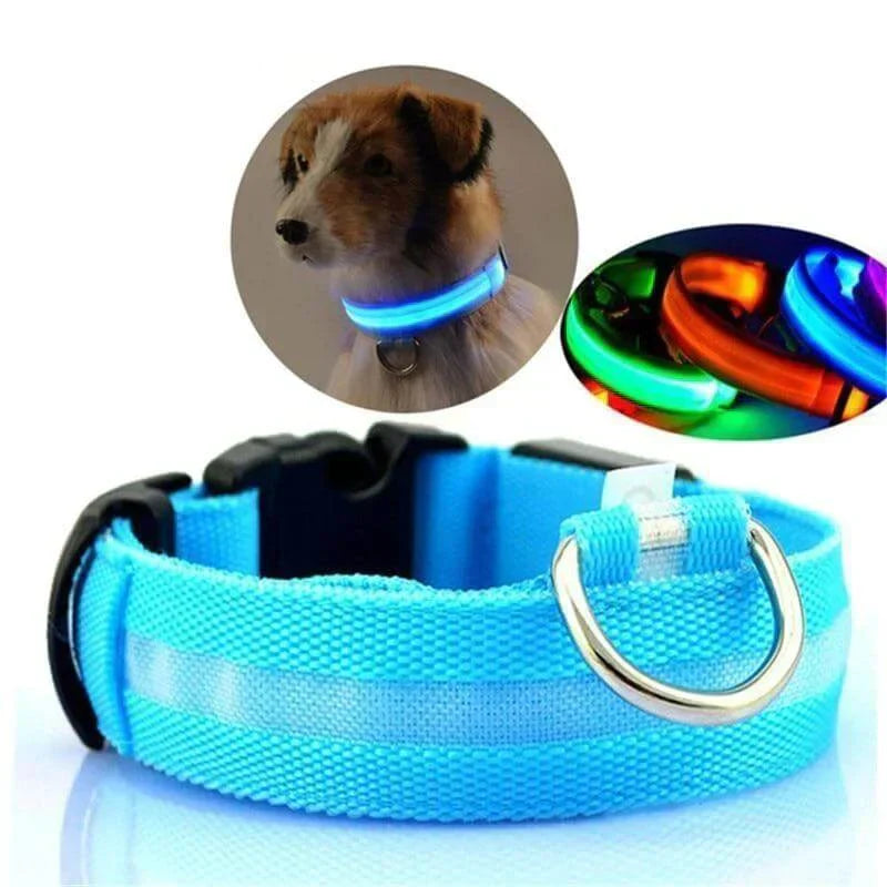 Melzano GlowPets | LED Halsband
