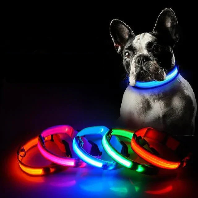 Melzano GlowPets | LED Halsband