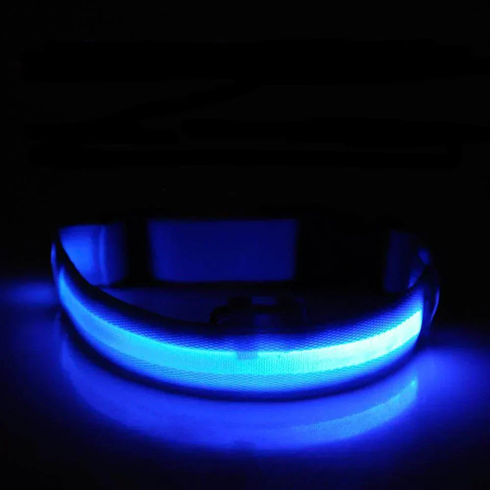 Melzano GlowPets | LED Halsband