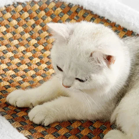 ScratchHaven – Cat tree wood & sisal with resting surface – for cats at home