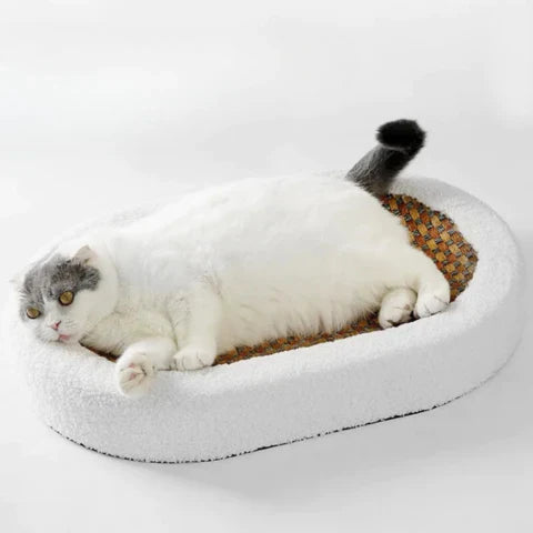 ScratchHaven – Cat tree wood & sisal with resting surface – for cats at home