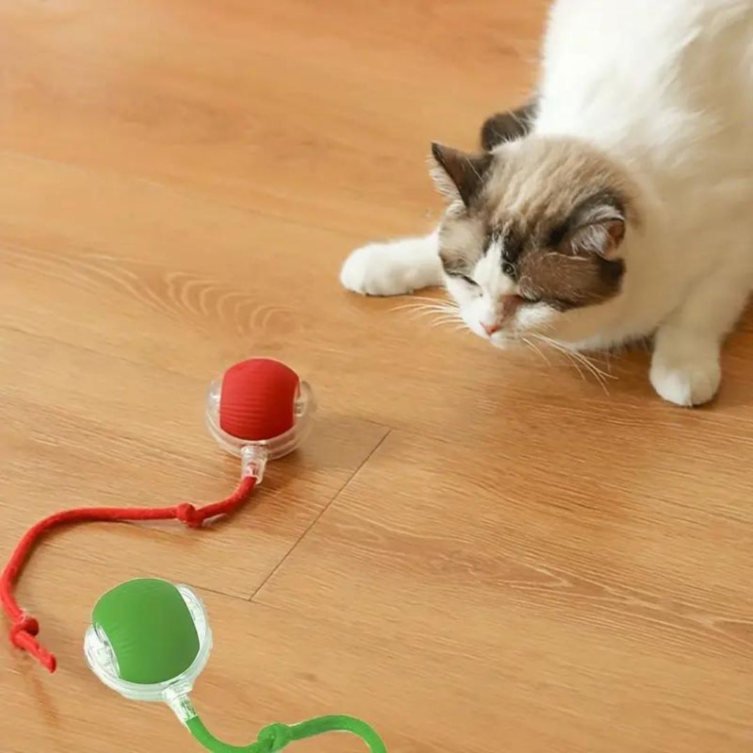 Felindo – interactive cat ball with movement and tail – indoor toy