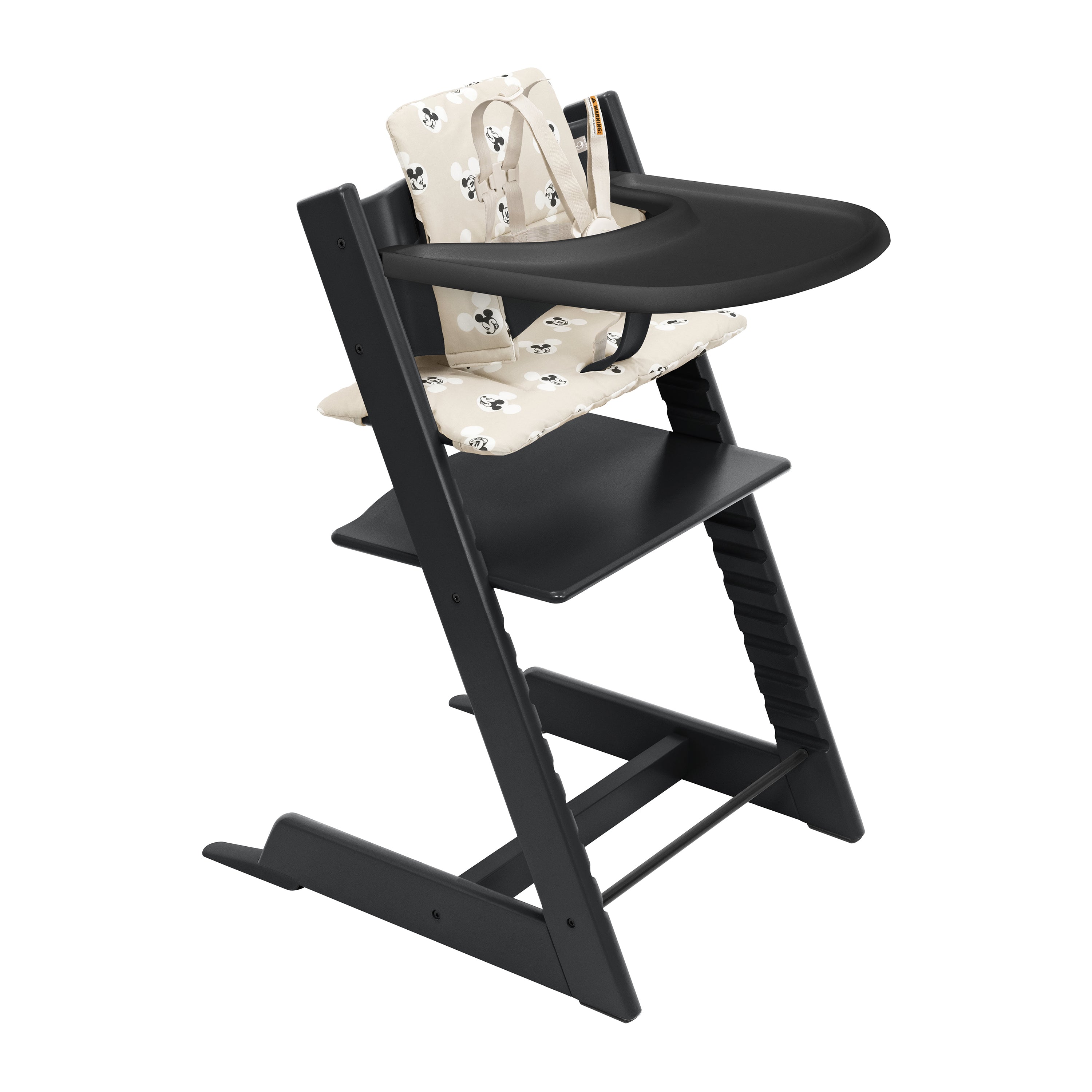 Evolesso – Silla infantil 2 Completa con cinturón, cojín y bandeja