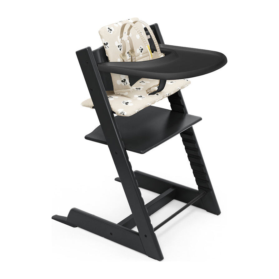Evolesso – Silla infantil 2 Completa con cinturón, cojín y bandeja