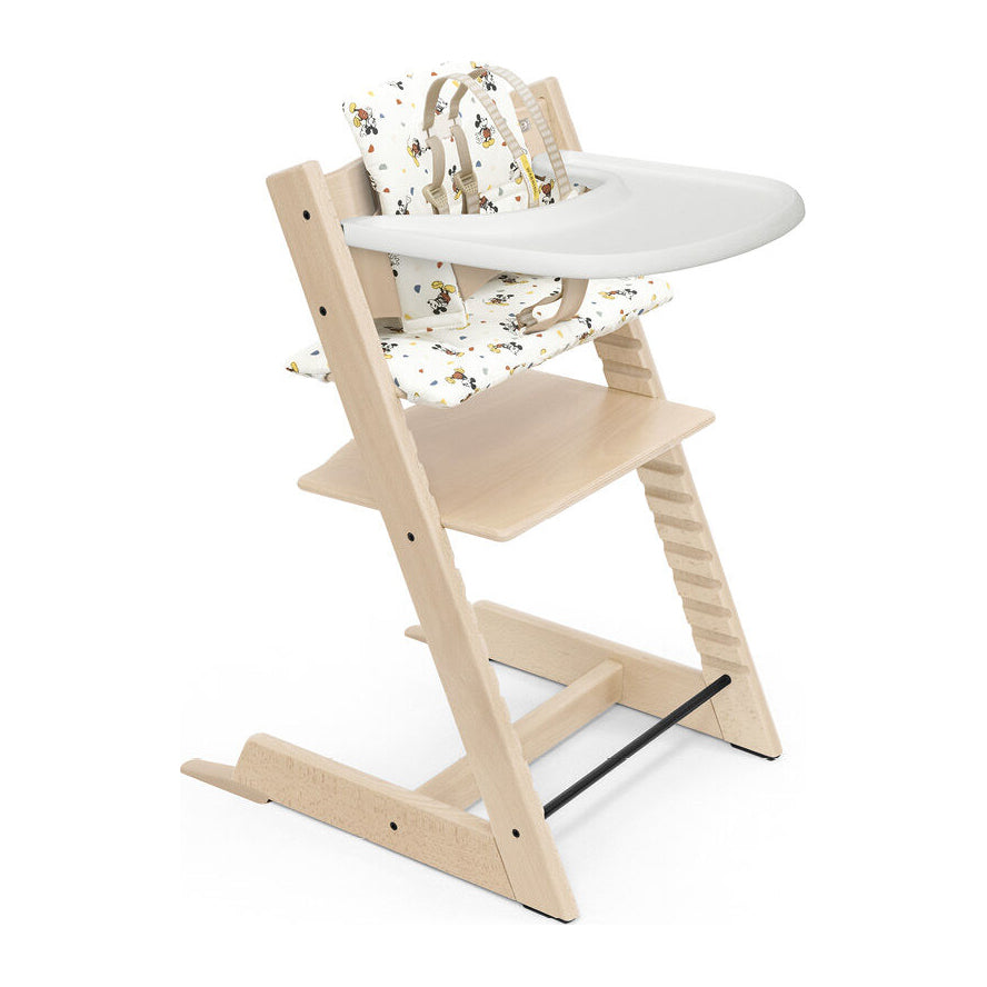 Evolesso – Silla infantil 2 Completa con cinturón, cojín y bandeja