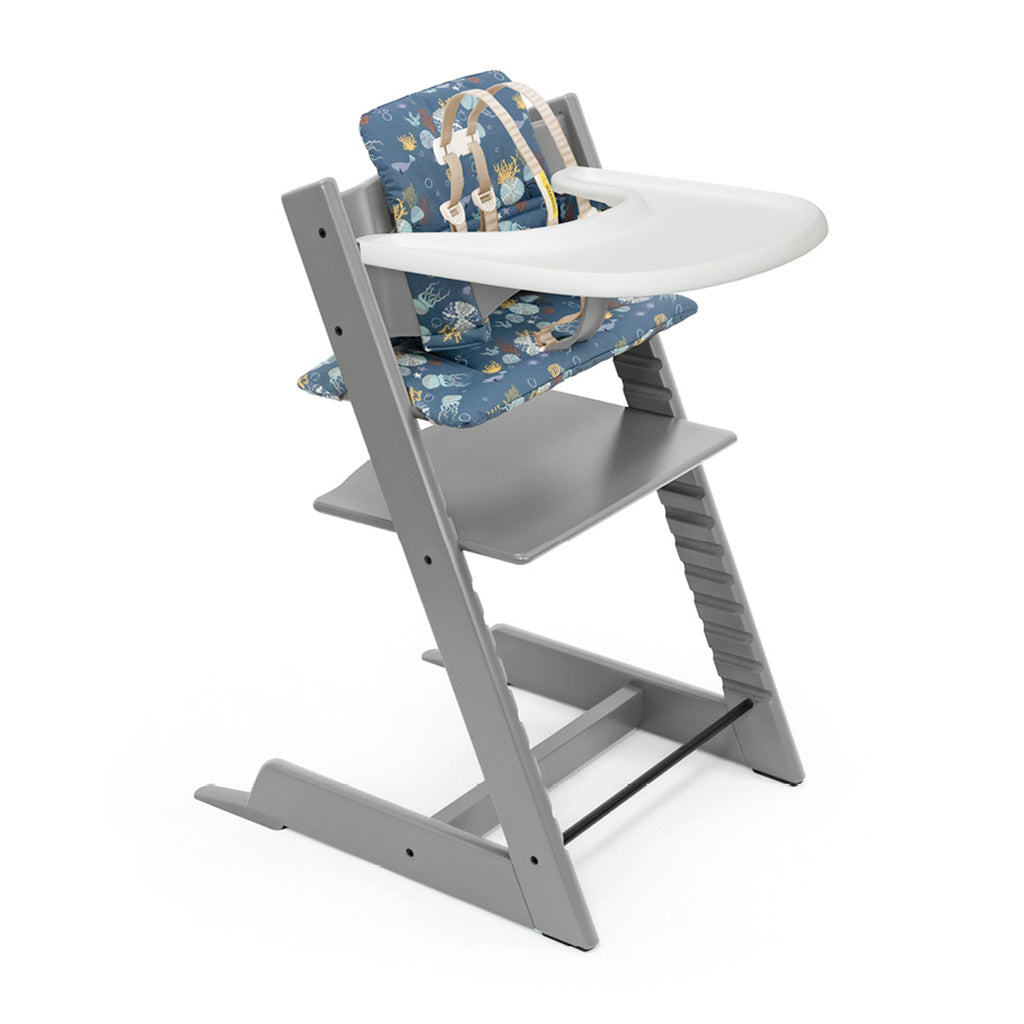 Evolesso – Silla infantil 2 Completa con cinturón, cojín y bandeja